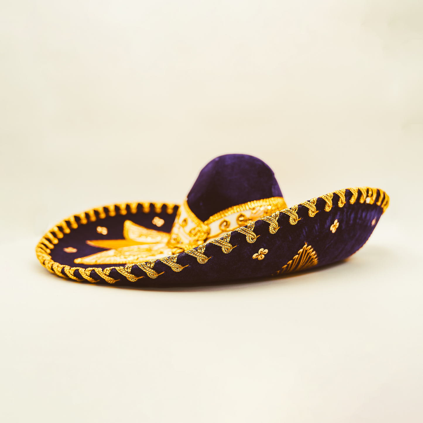 Traditional Mexican Charro Sombrero